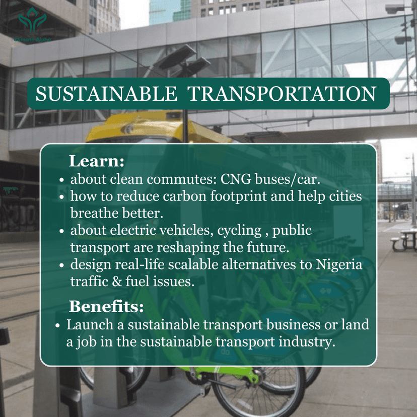 Transportation